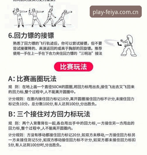 3个关键点助你快速掌握飞亚体育平台官网入口的使用技巧
