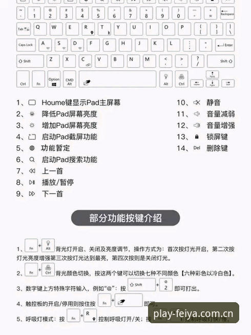 飞亚A9B3版本 5个必知技巧:飞亚A9B3版本快速登录与使用全指南